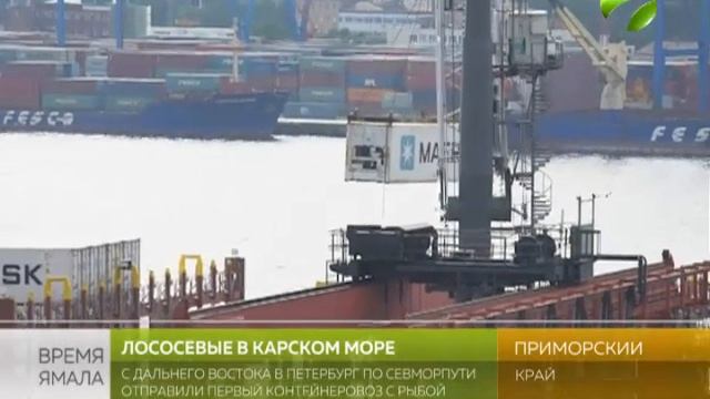 Красная рыба в Карском море. Пробный рейс по Севморпути смотреть онлайн