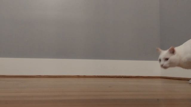 How I Wrote A Book: the MAKING of "Mind-Blowing Facts" смотреть онлайн