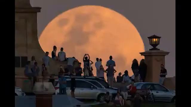 ВОСХОД ЛУНЫ В АВСТРАЛИИ ЛУНА, ВОЛКИ И ПЕС НА ЦЕПИ смотреть онлайн