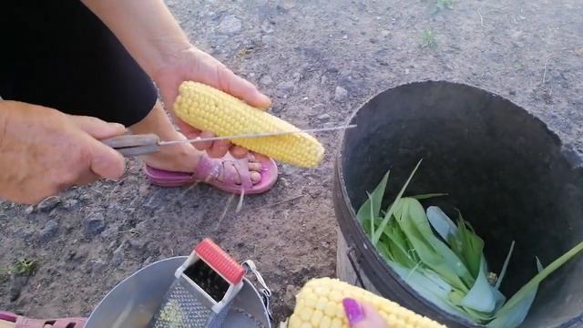 Варим правильно кукурузу. Лайфхаки. смотреть онлайн