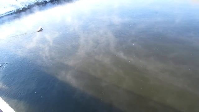 ??Зима в Беларуси. Релакс. Просто красивая природа под Минском. Минск. Беларусь. смотреть онлайн