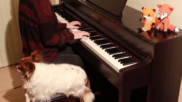 (Piano) Cover of Undertale OST - His Theme смотреть онлайн