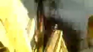 не удачное спаривание сабак