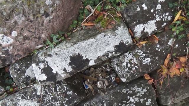 Поиски на нудистском пляже Золото и Серебро и многое другое часть 1 смотреть онлайн