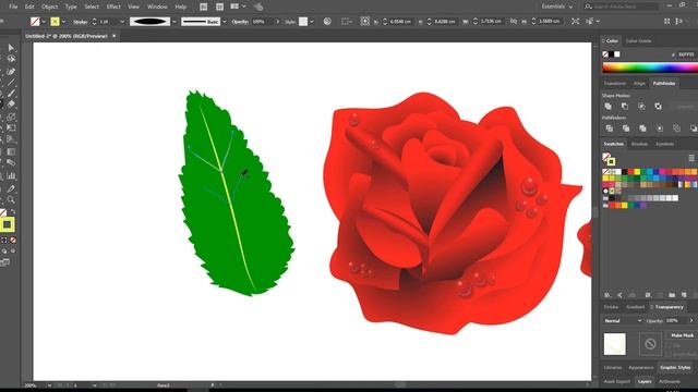 Illustrator Roses creating in Adobe illustrator CC Tutorial