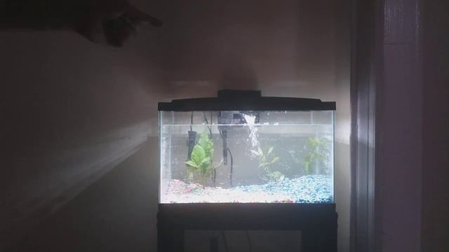 Как поменять или почистить воду в аквариуме? №6 смотреть онлайн