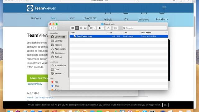 Download & Install TeamViewer On MAC