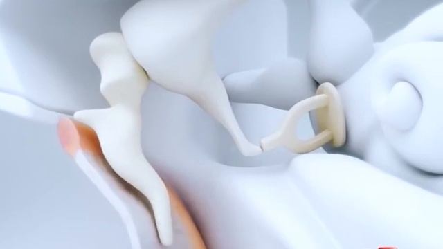 Школа здоровья. Как лечить отит? смотреть онлайн