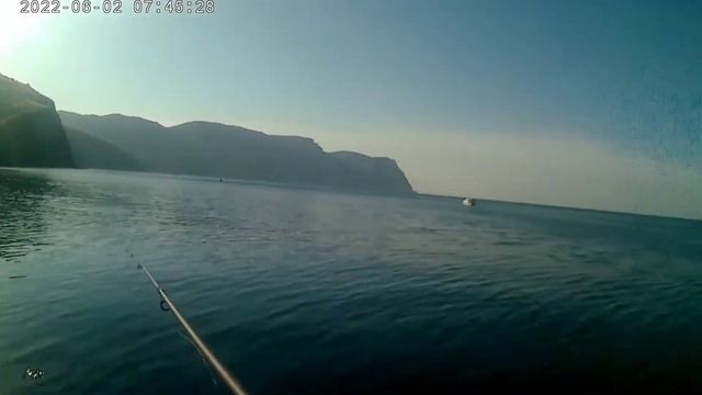 Балаклава шикарная рыбалка . Рыба Ставрида смотреть онлайн