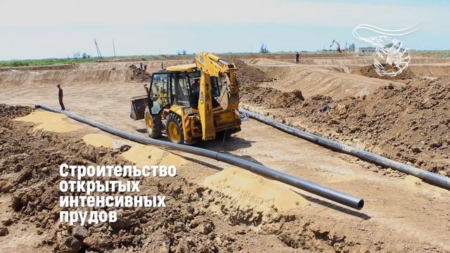 Планы по развитию предприятия и строительству инфраструктуры смотреть онлайн