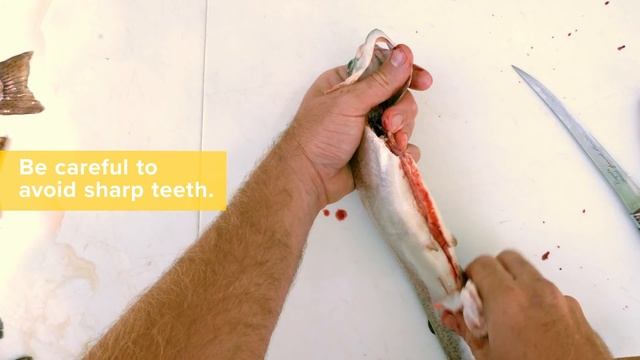 How to Clean Trout - Quick & Easy смотреть онлайн