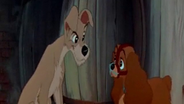 Леди и Бродяга - Разные