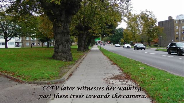 Sarah Everard - Somewhere In Time - Please Share смотреть онлайн