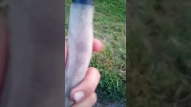 Мощный лук стрела воткнеца в дерева на 1 см смотреть онлайн