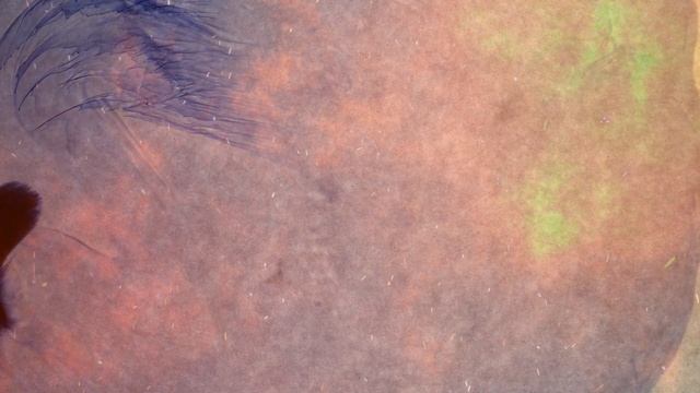 Он наклонился, чтобы завязать шнурки, но когда поднял голову, был невероятно ошеломлён... смотреть онлайн