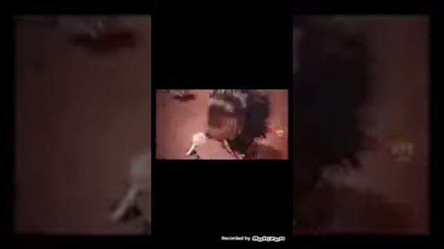 МС копатыч и зверопой русский смотреть онлайн