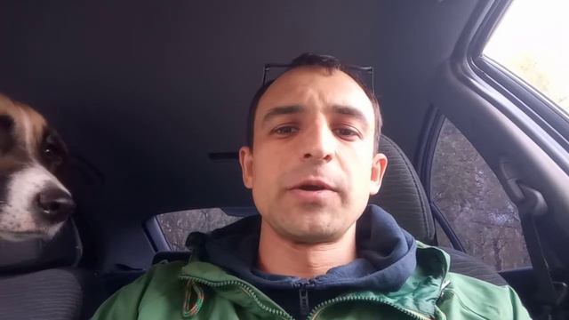 Отзыв о работе Cleopartner. Водитель такси Игорь. смотреть онлайн