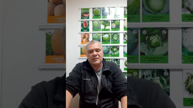 Интересно для тех кто хочет работать по наложенному платежу. смотреть онлайн