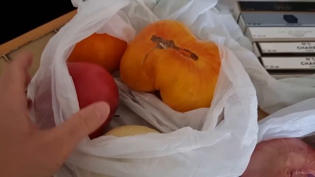 Вернулись с рынка. Примеряю купальник и новое платье. Рассказываю про цены на юге Франции смотреть онлайн