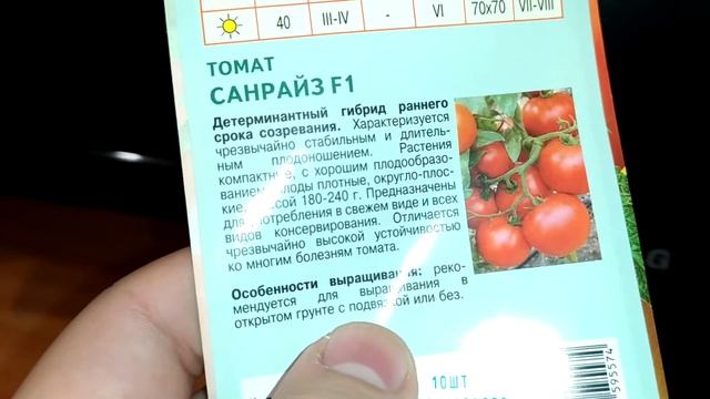 Краткий обзор сорта томата Санрайз ф1 смотреть онлайн
