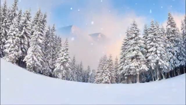 Всероссийский Урок "ЭКОЛЯТА - МОЛОДЫЕ ЗАЩИТНИКИ ПРИРОДЫ" "Как помочь птицам". Детский сад 233ОАОРЖД смотреть онлайн