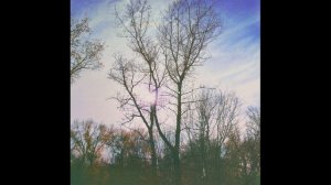 Sunbyonic - Stay close