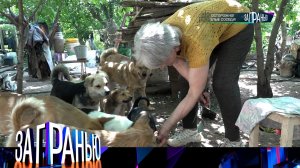 «За гранью»: «Осторожно! Злые соседи!» | Выпуск от 18 июня 2024 года