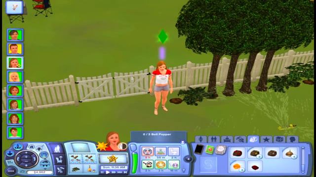 Sims 3 Tutorial ⎮ How to get a Money Tree смотреть онлайн