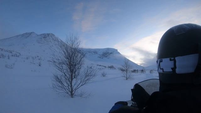 Куэльпорр смотреть онлайн