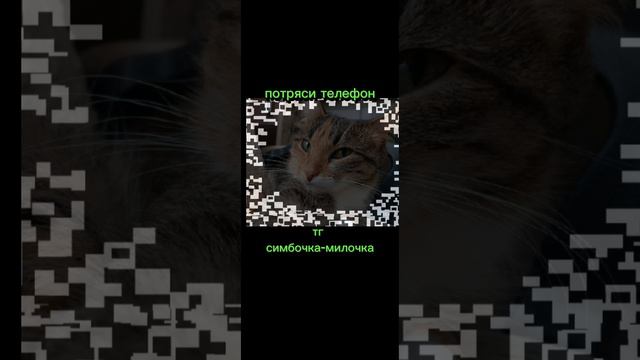 тг :симбочка-милочка