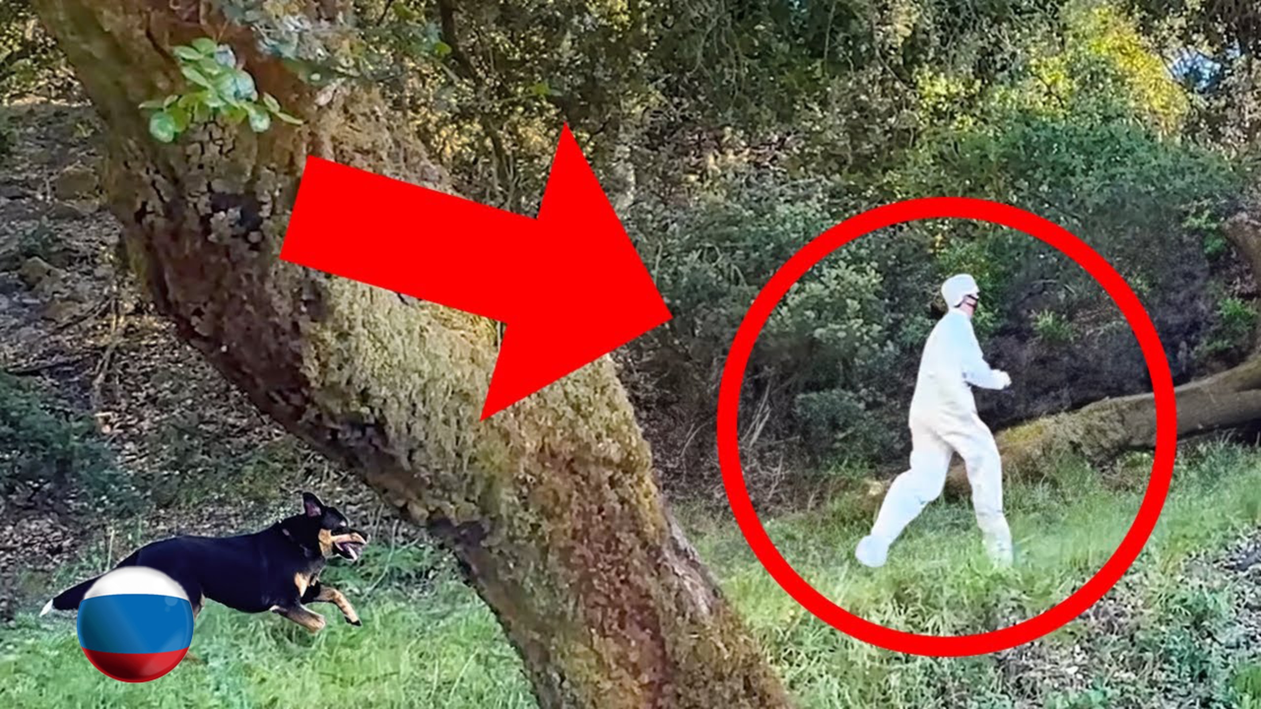 [Mark Rober] Как Убежать от Полицейской Собаки-Ищейки [Марк Робер]