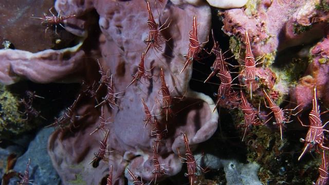 Relaxing Instrumental Music. Супер Спокойная и Красивая Музыка для Души и Сердца...!!! смотреть онлайн