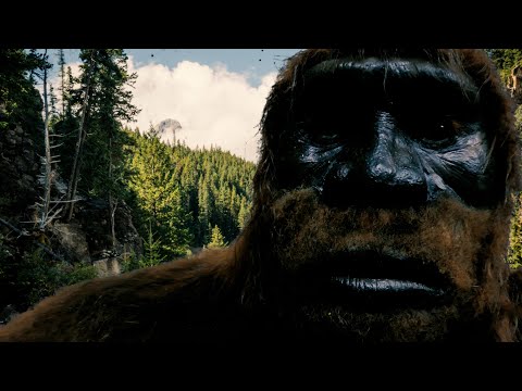 Problems in the BIGFOOT COMMUNITY with 401 FILES смотреть онлайн