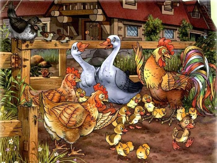 УТРО НА ПТИЧЬЕМ ДВОРЕ