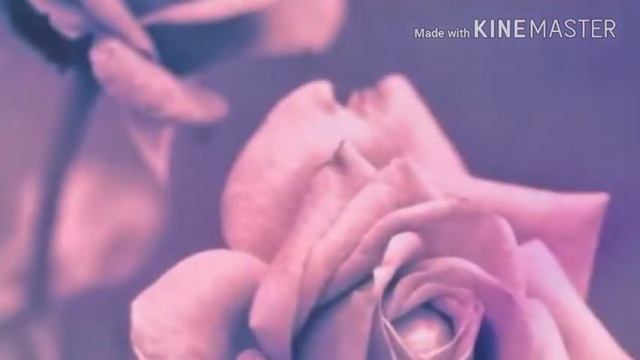 Клип ,, М - это Милена" смотреть онлайн