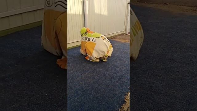 Танец анонимуса подходит под любую музыку часть 1 смотреть онлайн