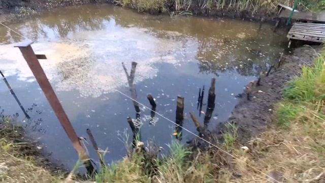 Восстанавливаем берег пруда. Ставим опалубку. Сутки Качаем воду смотреть онлайн
