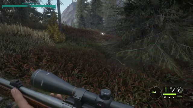 The Hunter Call of the wild 🙀 Возращение в заказник Лэйтон Лэйк 🐇 стрим#13 смотреть онлайн