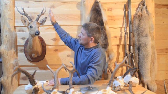 Об охоте на самцов сибирской косули во время гона. смотреть онлайн