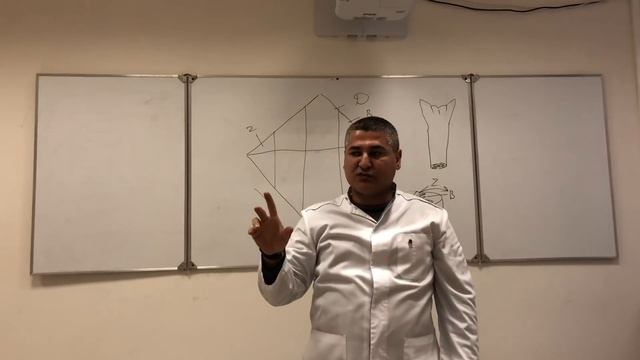 Ромбовидная ямка. Анатомия Ромбовидной ямки.Часть 1. Anatomy Of The Rhomboid Fossa. Part 1