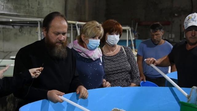 Сызранский НПЗ выпустил в Волгу рекордное количество стерляди смотреть онлайн