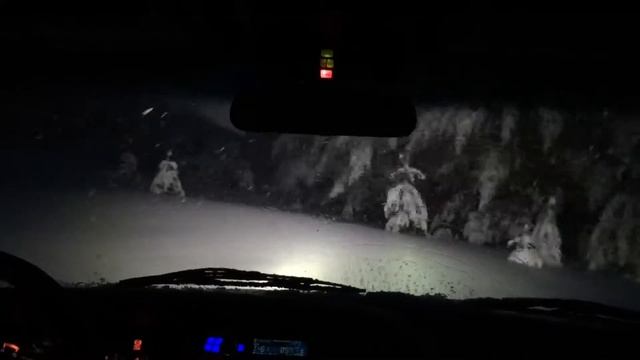 Как я заблудился в лесу смотреть онлайн