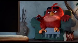 The Angry Birds Movie VIRAL VIDEO   AMC Video 2016   Animated Movie HD
