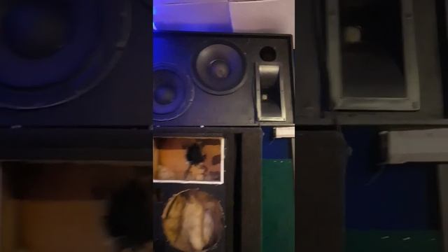 концертные колонки дома #звук #колонки #sound #акустика #jbl #ремонтэлектроники #bass #прокат смотреть онлайн