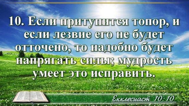 ВидеоБиблия Книга Екклесиаста с музыкой глава 10 читаем и слушаем смотреть онлайн