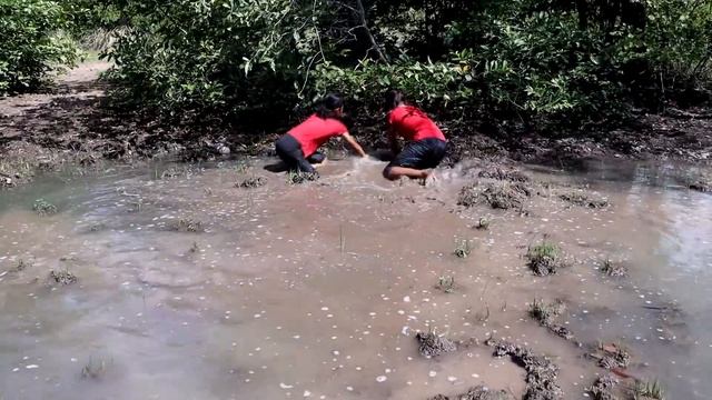 Catch Frog in the hole & a lot catfish for food of survival - Cooking catfish and frog for dinner смотреть онлайн
