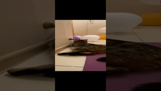 НеЛизь ? #geravna #любовь #мята #мечты #житьжизнь