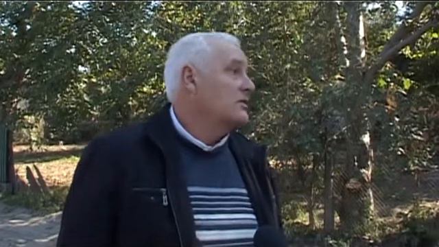 Квашнин социальные вопросы смотреть онлайн