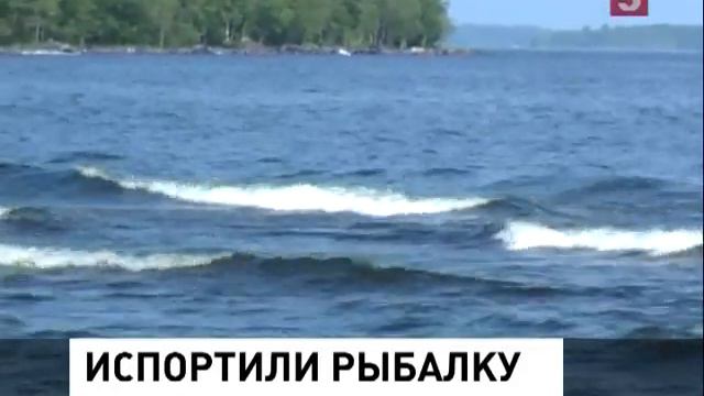 Конфликт на берегу Ладожского озера разгорелся из смотреть онлайн