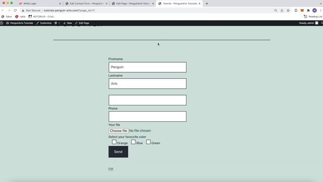 Contact Form 7 Wordpress Tutorial: Everything you need to know смотреть онлайн